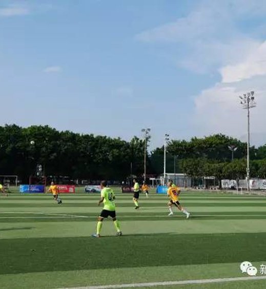 开云简介